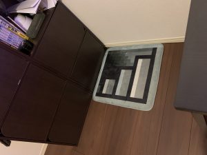 IMG_2727