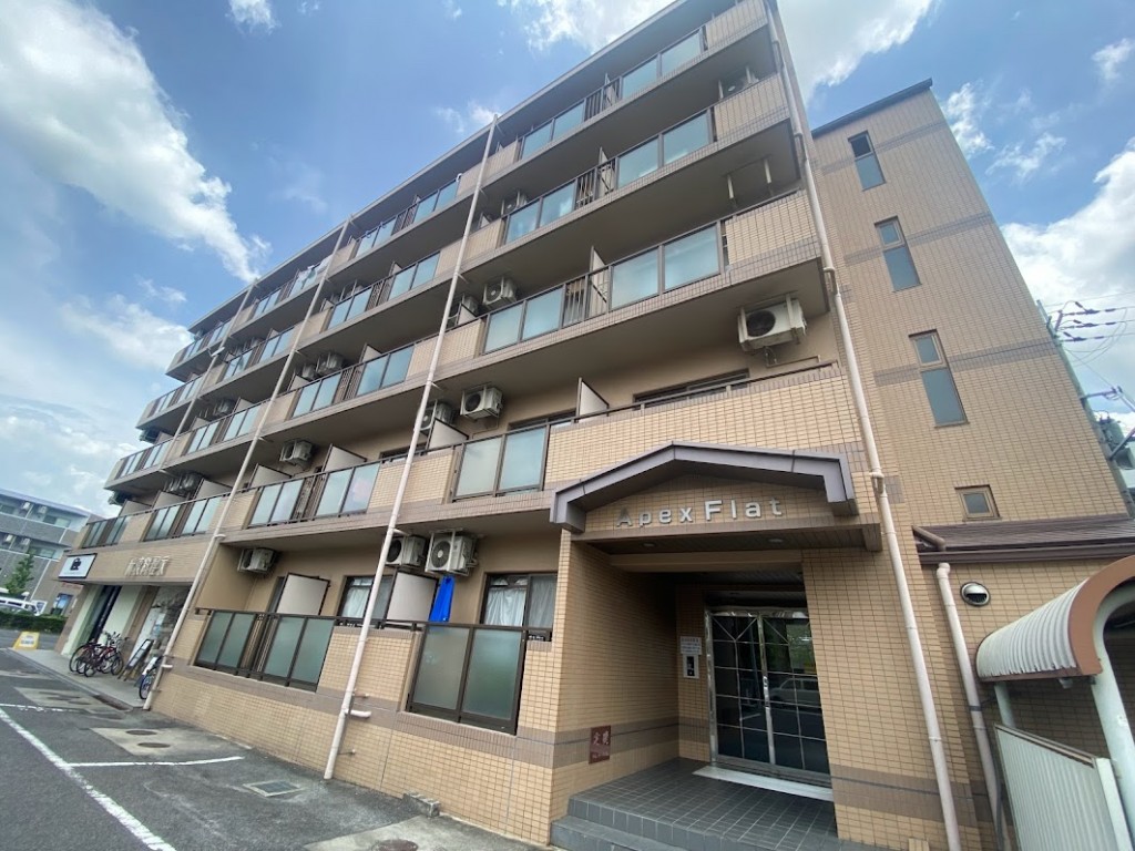 APEX FLAT